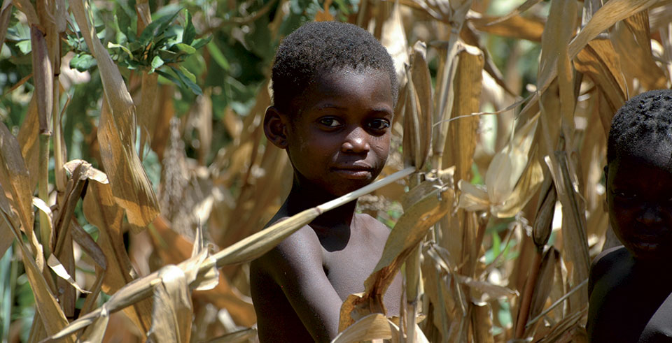 Fleurentin-(Burkina)