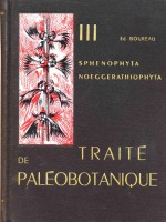 Traité de paléobotanique – Sphenophyta  Noeggerathiophyta