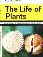 The Life of Plants