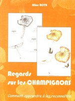 Regards sur les champignons – Comment apprendre à les reconnaître