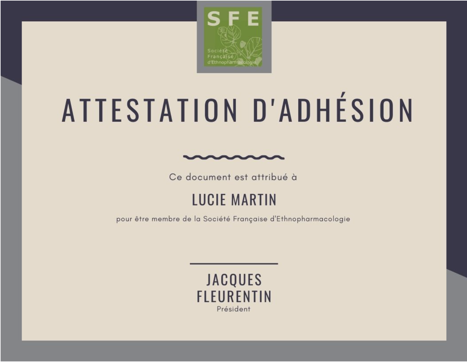 Visuel adhésion